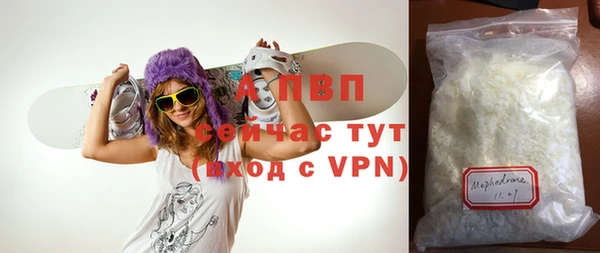 индика Саяногорск