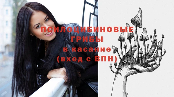 ПСИЛОЦИБИНОВЫЕ ГРИБЫ Балабаново